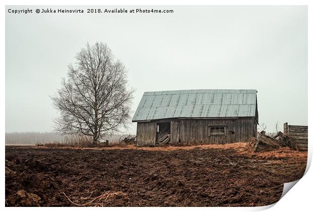 Birch Tree And Barn House On A Rainy Spring Day Print by Jukka Heinovirta