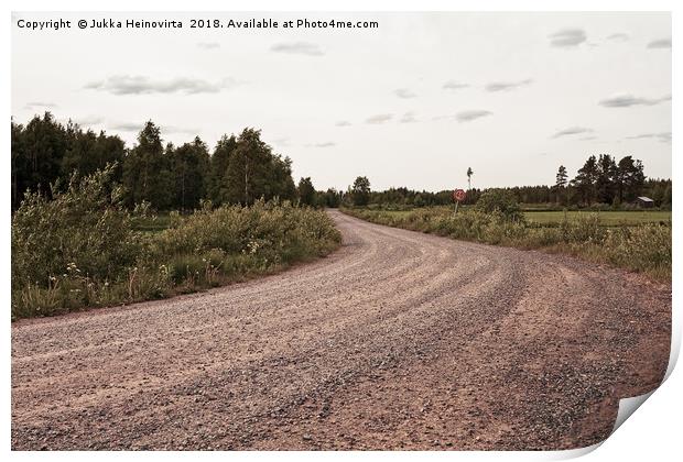Gravel Road To The Woods Print by Jukka Heinovirta