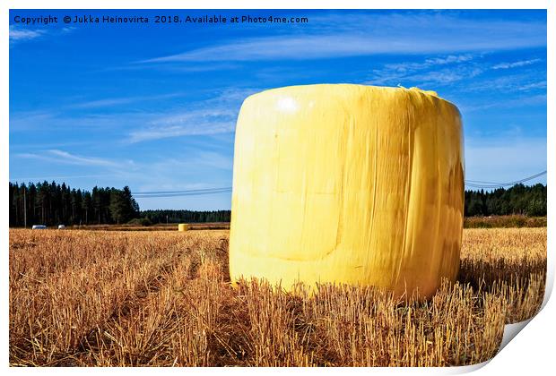 Yellow Hay Bale On The Fields Print by Jukka Heinovirta
