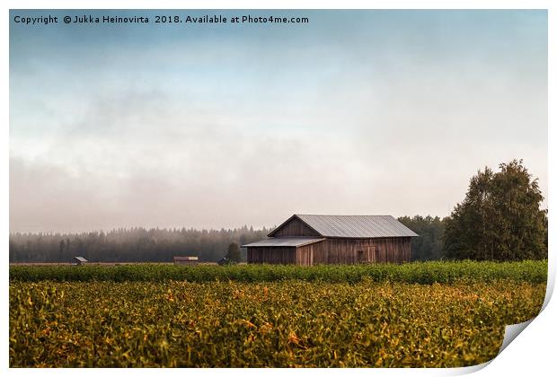 Misty Morning By The Fields Print by Jukka Heinovirta