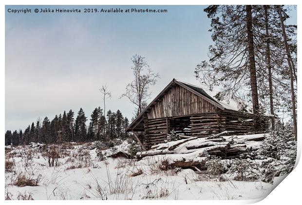Old Shed By The Forest Print by Jukka Heinovirta