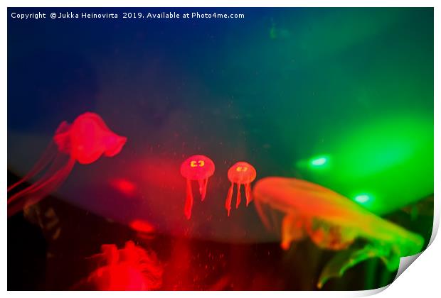 Tiny Jellyfish Twins Print by Jukka Heinovirta