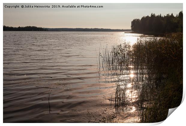 Morning By The Lake Print by Jukka Heinovirta