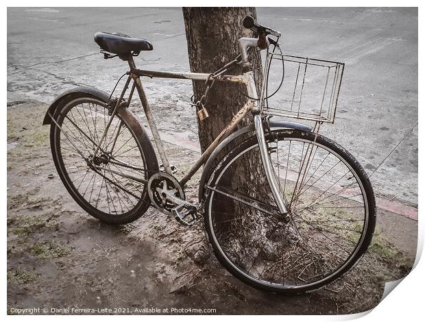 Old Bicycle Chained at Tree Print by Daniel Ferreira-Leite