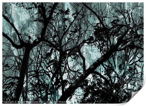 Leafy Dark Nature Background Print by Daniel Ferreira-Leite