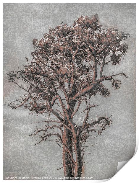 Big Tree Photo Illustration Print by Daniel Ferreira-Leite
