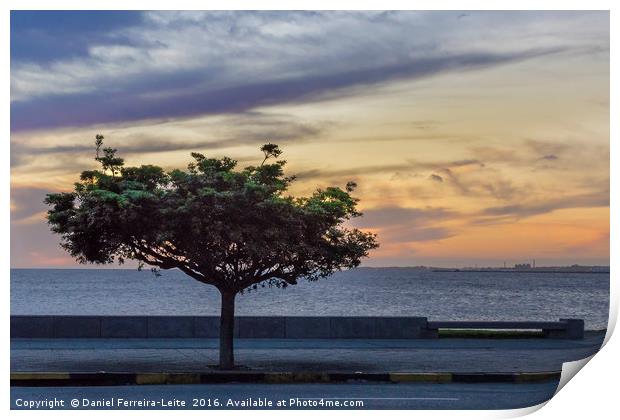 Sunset Scene at Boardwalk in Montevideo Uruguay Print by Daniel Ferreira-Leite