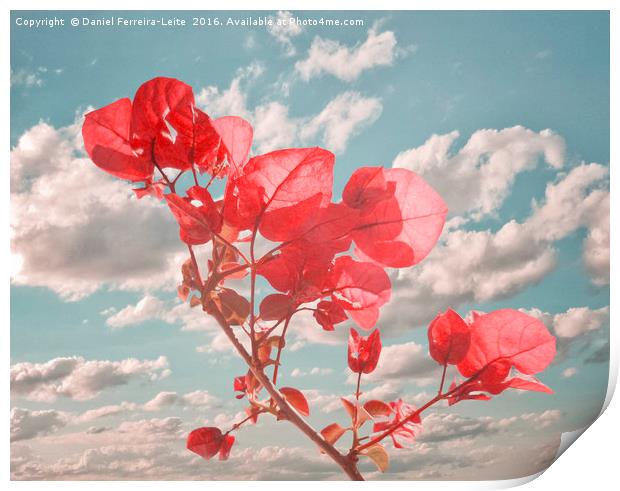 Flowers in the Sky Inspired Photo Collage Print by Daniel Ferreira-Leite
