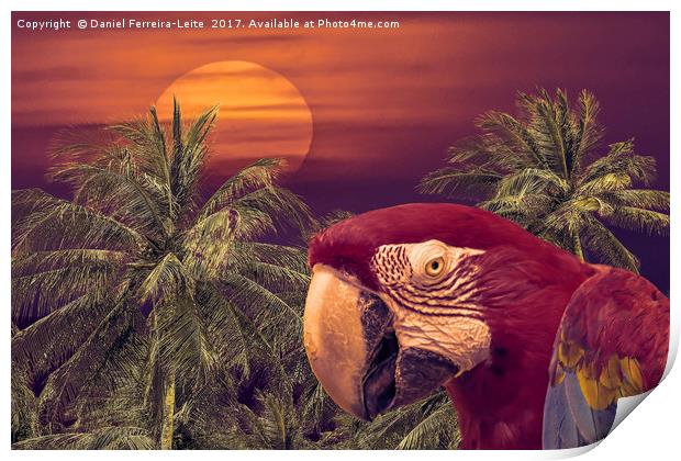 Tropical Background Collage Design Print by Daniel Ferreira-Leite