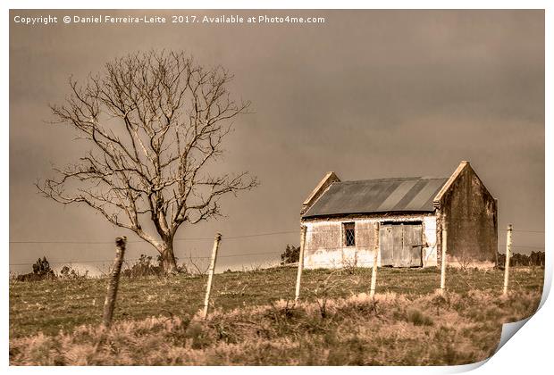 Rural House Landscape Scene, Uruguay Print by Daniel Ferreira-Leite