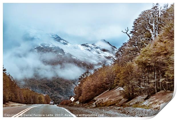 Patagonian Highway, Los Lagos, Chile Print by Daniel Ferreira-Leite