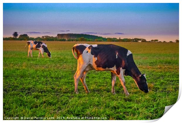 Cows Eating at Rural Environment, San Jose - Urugu Print by Daniel Ferreira-Leite