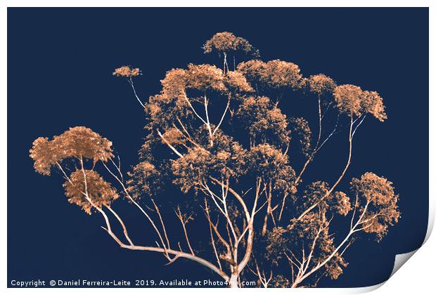 Botanical Decor Artwork Print by Daniel Ferreira-Leite