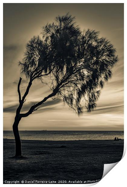 Three Silhouette Sunset Scene, Montevideo, Uruguay Print by Daniel Ferreira-Leite