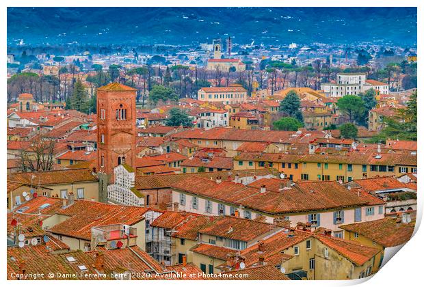 Aerial View Historic Center of Lucca, Italy Print by Daniel Ferreira-Leite