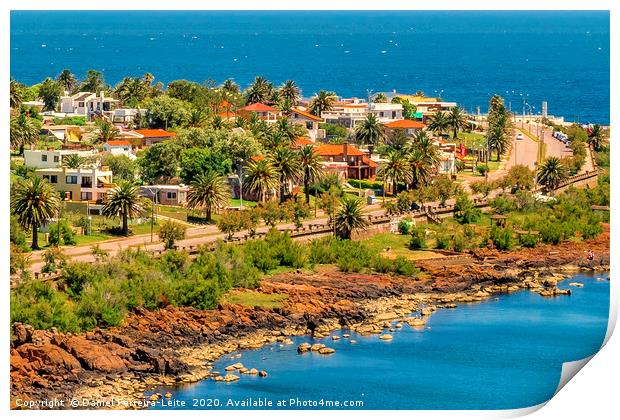 Landscape Aerial View Punta Colorada Uruguay Print by Daniel Ferreira-Leite