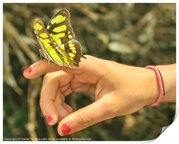 Butterfly Sitting on Woman Finger Print by Daniel Ferreira-Leite