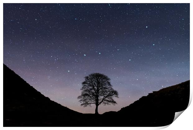 Sycamore Gap Print by John Hughes