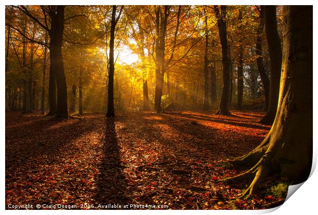 Magical Golden Forest Print by Craig Doogan