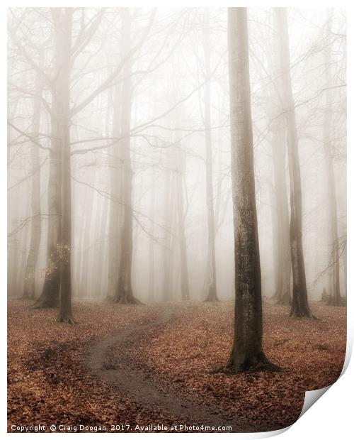 Foggy Forest Print by Craig Doogan