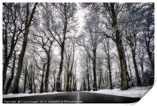 Winter Trees Print by Craig Doogan