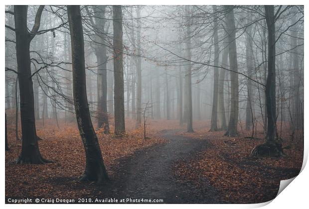 Moody Forest Print by Craig Doogan