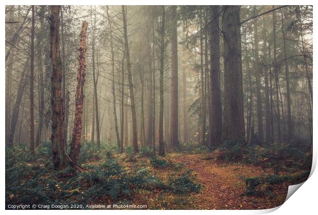 Misty Forest Print by Craig Doogan