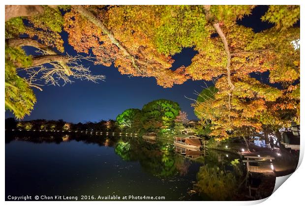 Superb view, fall color at Daikaku-ji Temple, Japa Print by Chon Kit Leong