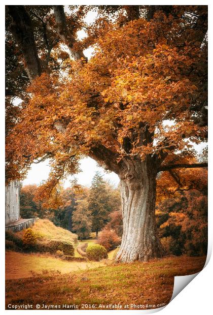 Autumn at Blair Castle Print by Jaymes Harris