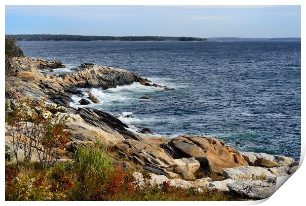"Rocky Maine Coast" Print by Jerome Cosyn