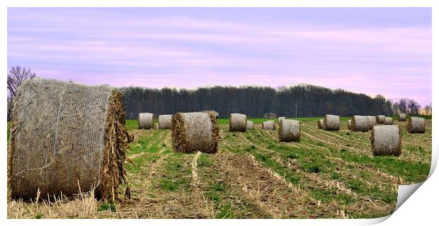 "Hay Bales In Ohio" Print by Jerome Cosyn