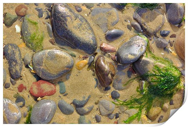 Pebbles on the Beach Print by Jeremy Hayden