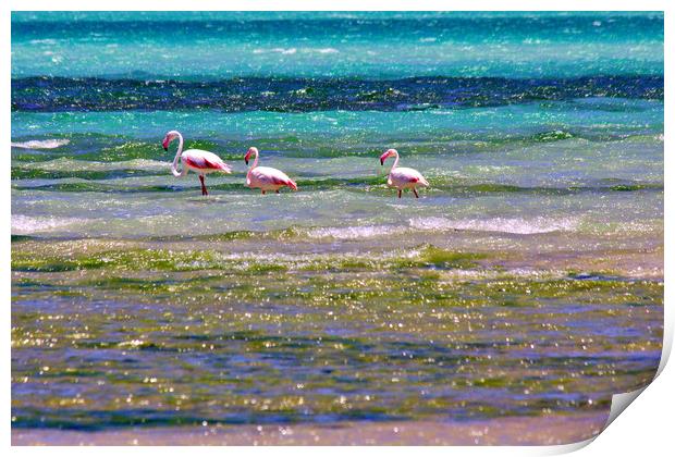Magaruque Island Flamingos and Sea Colours Print by Jeremy Hayden