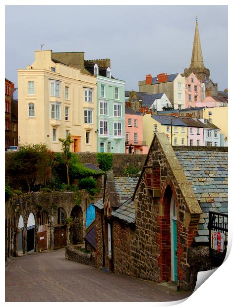 Tenby Harbour Stone Buildings Print by Jeremy Hayden
