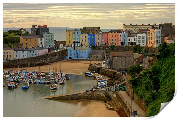 Tenby Harbour in the Morning Print by Jeremy Hayden