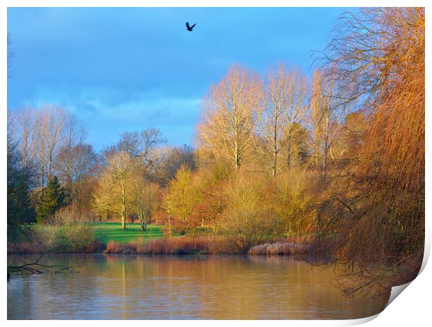 Golden Autumn Trees at the Lake Print by Jeremy Hayden