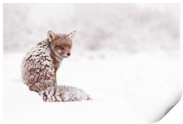 A Red Fox Fantasy Print by Roeselien Raimond