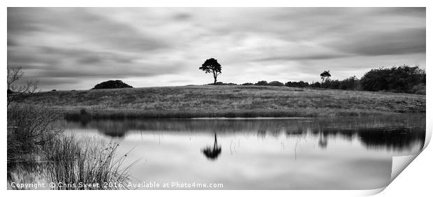 Reflected Tree Print by Chris Sweet