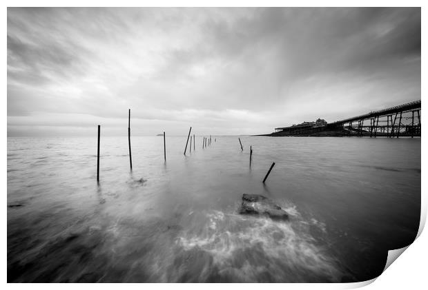 Shrimp Poles Print by Chris Sweet