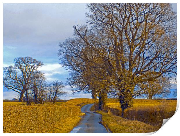 millhalf lane whitney on wye herefordshire Print by paul ratcliffe