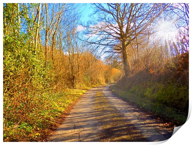 sunlit country lane Print by paul ratcliffe