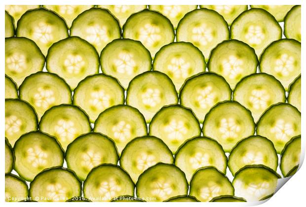 Sliced Cucumber Print by Paul Cullen