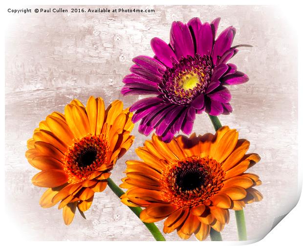 Three Gerberas on an oil painted background Print by Paul Cullen