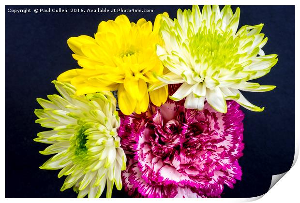 Carnation and Chrysanthemums - aerial view on blac Print by Paul Cullen