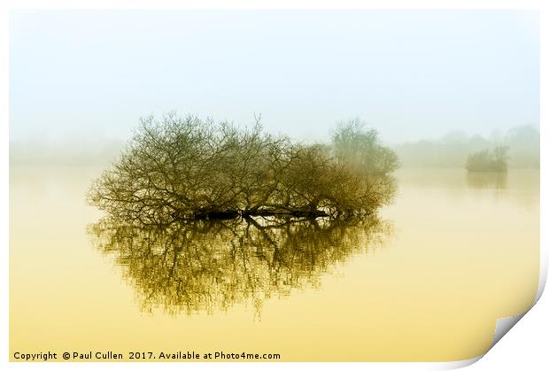 Trees in the fog. Print by Paul Cullen