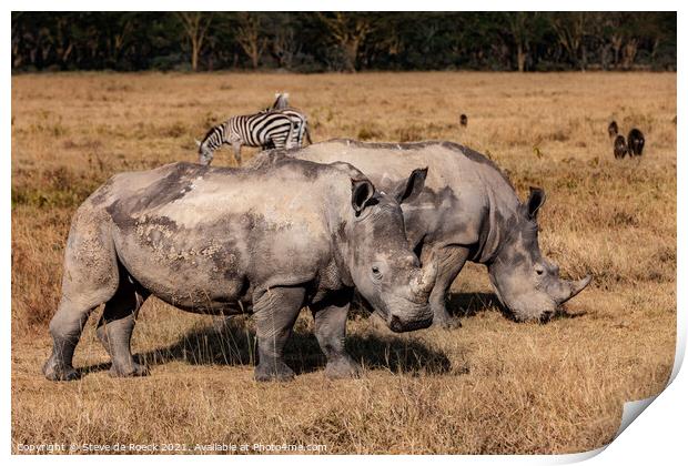 White Rhino and Zebra Print by Steve de Roeck