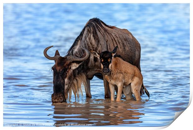 Wildebeest And Calf At Waterhole Print by Steve de Roeck