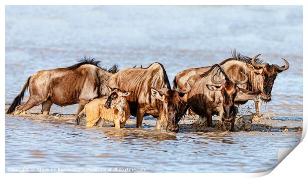 Wildebeest Take A Moment To Relax With Their Baby. Print by Steve de Roeck