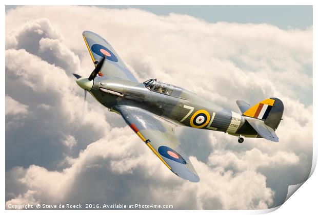 Flying High; Royal Navy Hawker Sea Hurricane. Print by Steve de Roeck