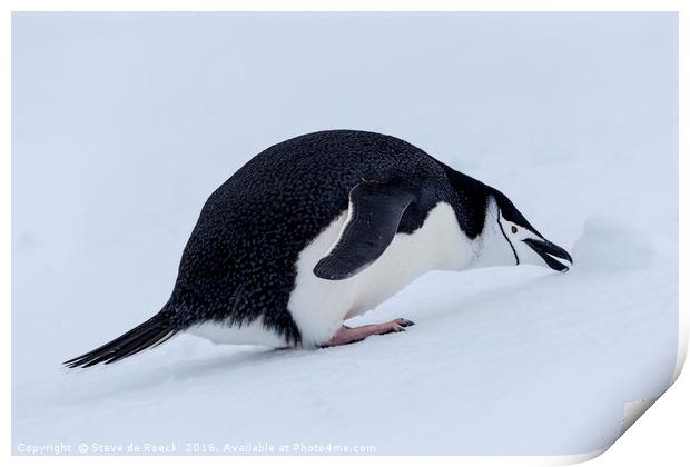 Who Left This Here? Chinstrap Penguin With Snowbal Print by Steve de Roeck